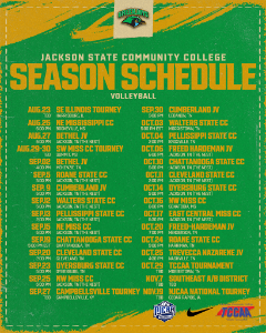 Used when appearing in sidebar, alongside content, or in locations where a smaller image is needed to appear beside text.